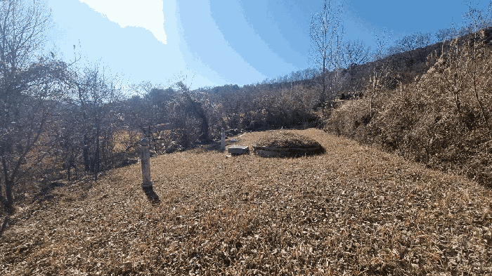 경남 합천군 율곡면 전답 경매 물건 사진 3 · 2025타경10395