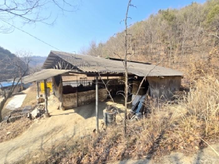 경남 합천군 쌍백면 임야 경매 물건 사진 5 · 2025타경10397