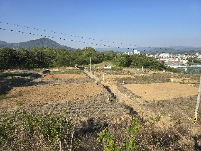 경남 함양군 함양읍 도로 경매 물건 사진 4 · 2025타경417