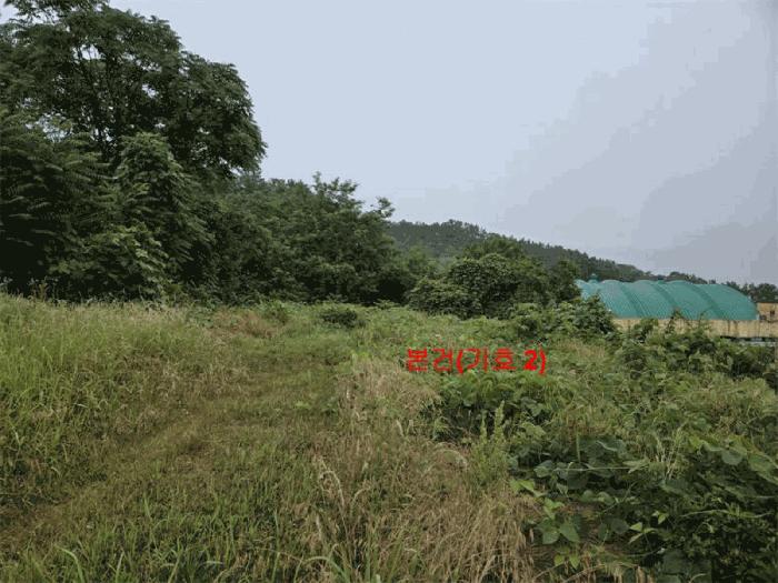 경남 합천군 초계면 전 경매 물건 사진 6 · 2025타경493