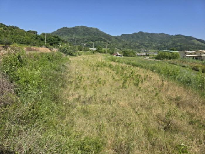 경남 함양군 수동면 답 경매 물건 사진 2 · 2025타경530