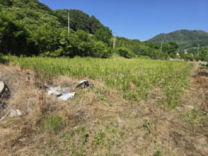 경남 함양군 수동면 답 경매 물건 사진 3 · 2025타경530