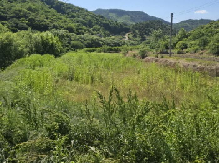 경남 함양군 수동면 답 경매 물건 사진 4 · 2025타경530