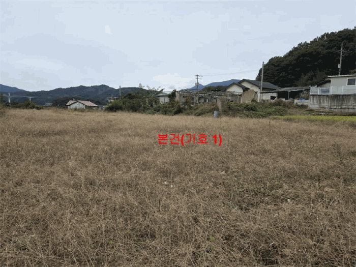 경남 합천군 야로면 대지,임야,전답 경매 물건 사진 4 · 2025타경584