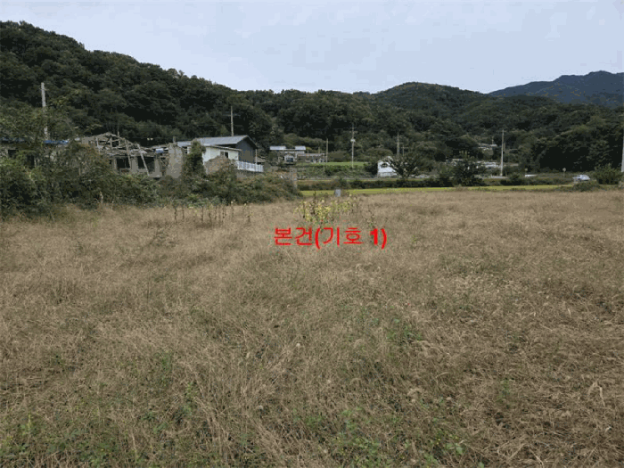 경남 합천군 야로면 대지,임야,전답 경매 물건 사진 5 · 2025타경584