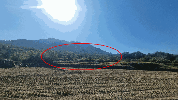 경상남도 합천군 대병면 장단리 583 답 경매 물건 사진