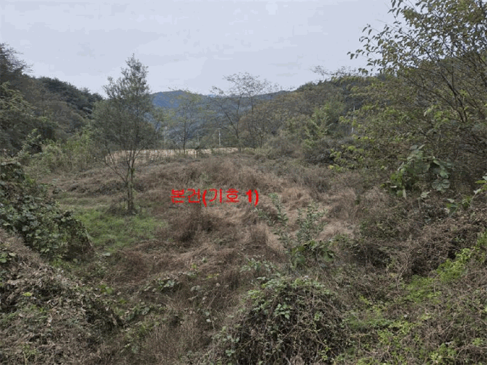 경남 함양군 안의면 답 경매 물건 사진 5 · 2025타경591