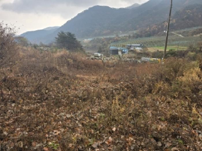 경남 함양군 함양읍 임야 경매 물건 사진 2 · 2025타경595