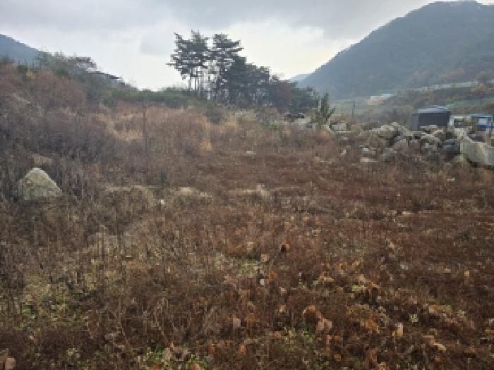 경남 함양군 함양읍 임야 경매 물건 사진 3 · 2025타경595