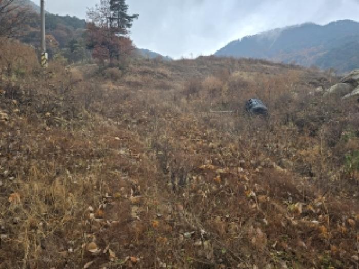 경남 함양군 함양읍 임야 경매 물건 사진 4 · 2025타경595