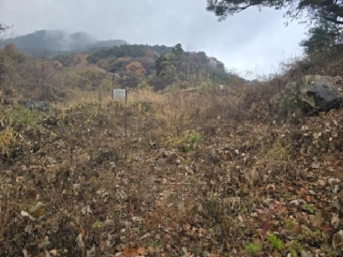 경남 함양군 함양읍 임야 경매 물건 사진 5 · 2025타경595