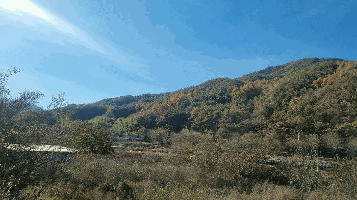 경남 거창군 북상면 대지,임야,전답 경매 물건 사진 4 · 2025타경597