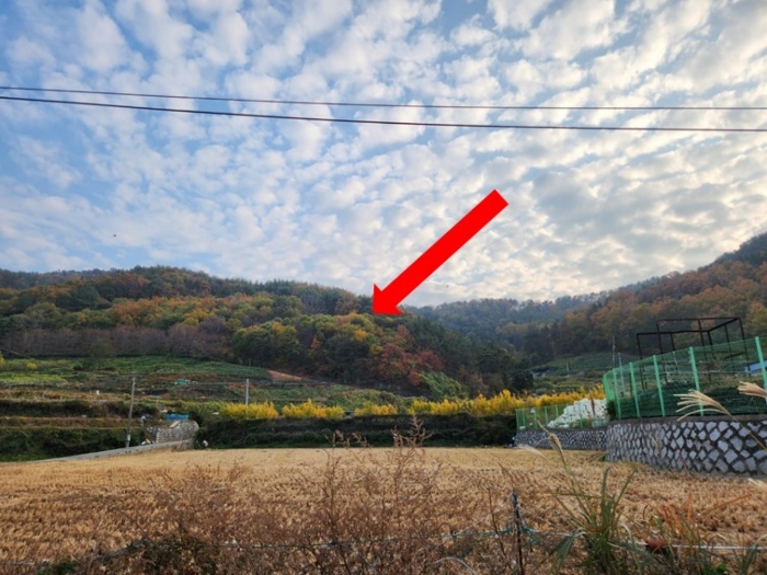 경남 창원시 마산합포구 구산면 임야 경매 물건 사진 2 · 2022타경104675