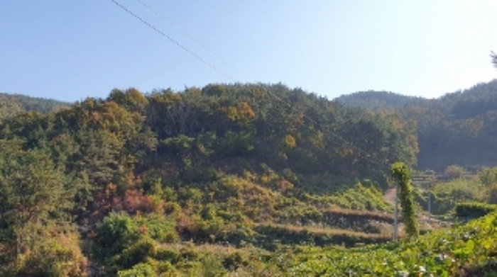 경남 창원시 마산합포구 구산면 임야 경매 물건 사진