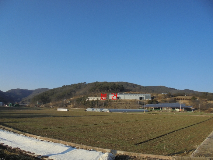 경상남도 의령군 지정면 오천리 323-3 공장/지식산업센터 경매 물건 사진