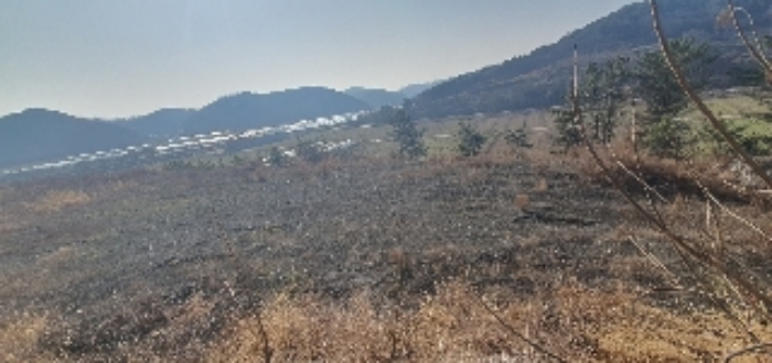 경남 의령군 지정면 공장/지식산업센터 경매 물건 사진 5 · 2023타경106890