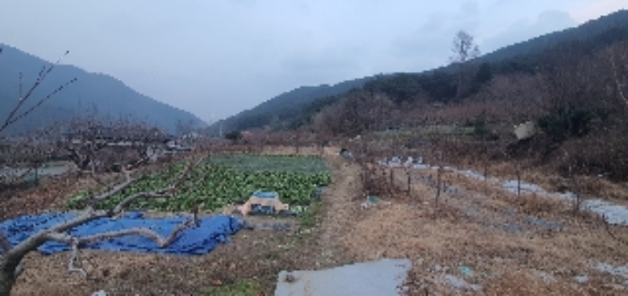 경남 창원시 마산회원구 내서읍 창고시설 경매 물건 사진 2 · 2023타경3472