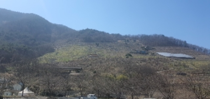 경남 함안군 칠북면 과수원 경매 물건 사진 2 · 2024타경101281