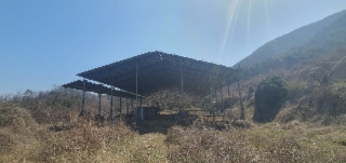 경남 함안군 칠북면 과수원 경매 물건 사진 4 · 2024타경101281