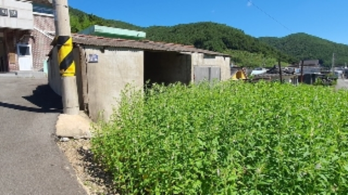 경남 창원시 마산합포구 진동면 전 경매 물건 사진 6 · 2024타경103980