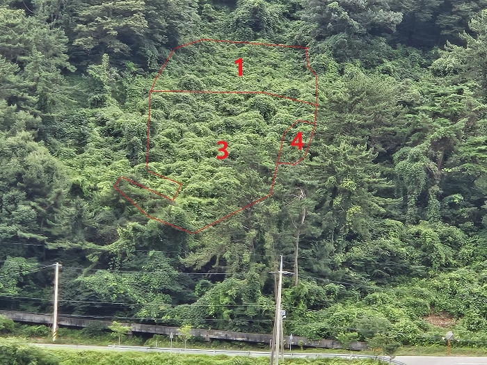 경남 창원시 마산합포구 진북면 전 경매 물건 사진 5 · 2024타경104105