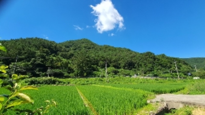 경남 창원시 마산합포구 진북면 전 경매 물건 사진