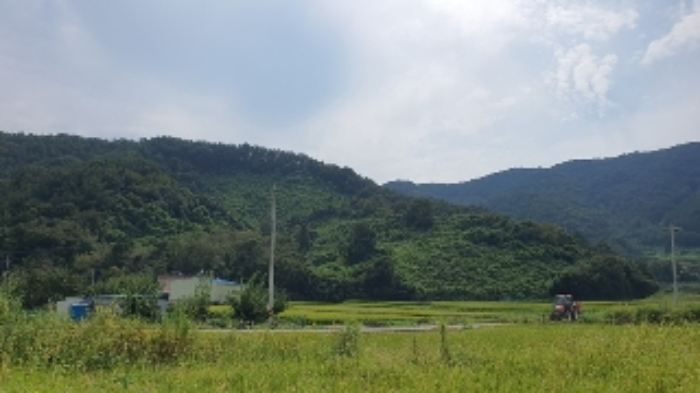 경남 창원시 마산합포구 구산면 단독주택 경매 물건 사진