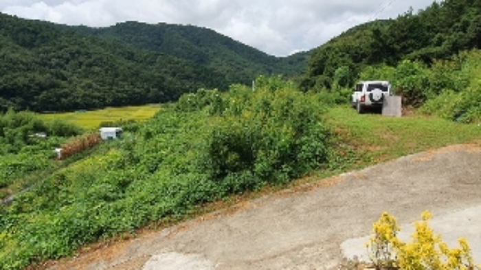 경남 창원시 마산합포구 진전면 답 경매 물건 사진