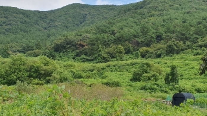 경남 창원시 마산합포구 진전면 답 경매 물건 사진 4 · 2024타경105269