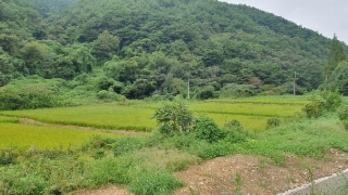 경남 창원시 마산합포구 진전면 전 경매 물건 사진