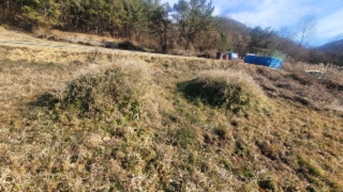 경남 함안군 대산면 전 경매 물건 사진 6 · 2024타경105627