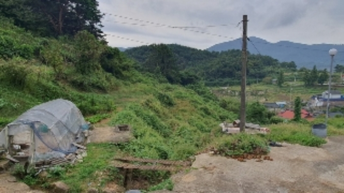 경남 창원시 마산합포구 진전면 답 경매 물건 사진