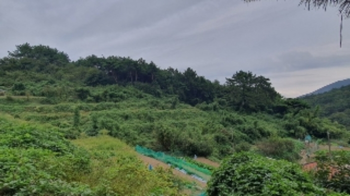 경남 창원시 마산합포구 진전면 답 경매 물건 사진 3 · 2024타경105856