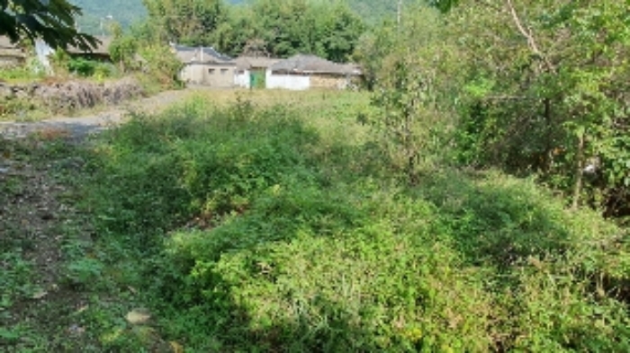 경남 창원시 마산합포구 진전면 답 경매 물건 사진
