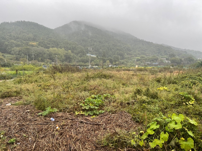 경상남도 창원시 마산합포구 구산면 난포리 319 답 경매 물건 사진