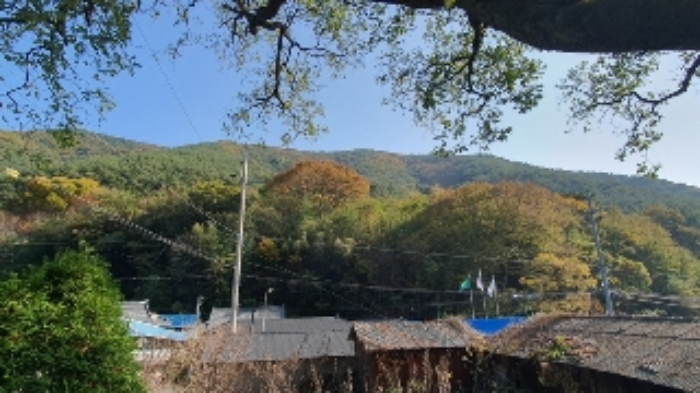 경남 창원시 마산합포구 진동면 대지 경매 물건 사진