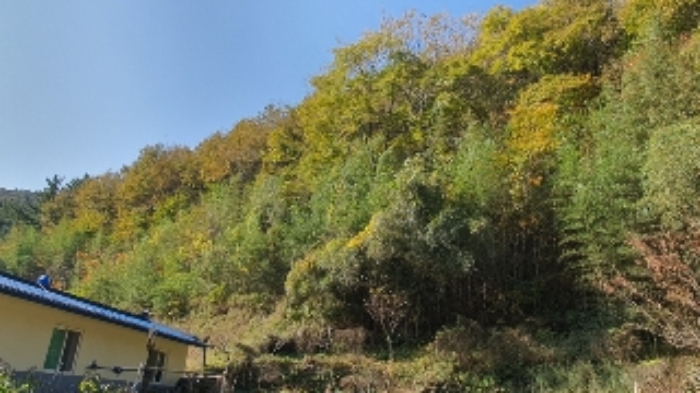 경남 창원시 마산합포구 진동면 대지 경매 물건 사진 3 · 2024타경106316