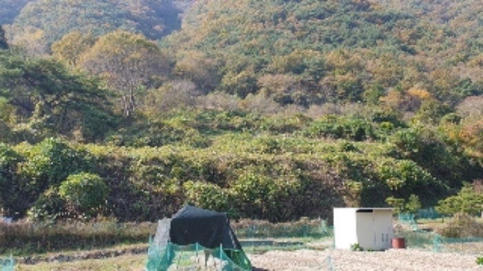 경남 창원시 마산합포구 진동면 대지 경매 물건 사진 5 · 2024타경106316