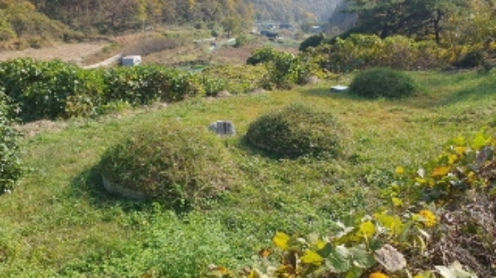 경남 창원시 마산합포구 진동면 대지 경매 물건 사진 6 · 2024타경106316