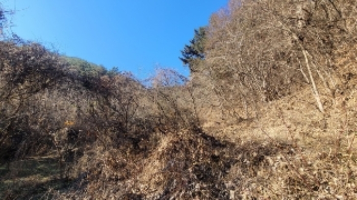 경남 창원시 마산회원구 내서읍 임야 경매 물건 사진