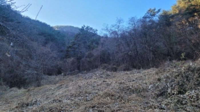 경남 창원시 마산회원구 내서읍 임야 경매 물건 사진 3 · 2024타경107005