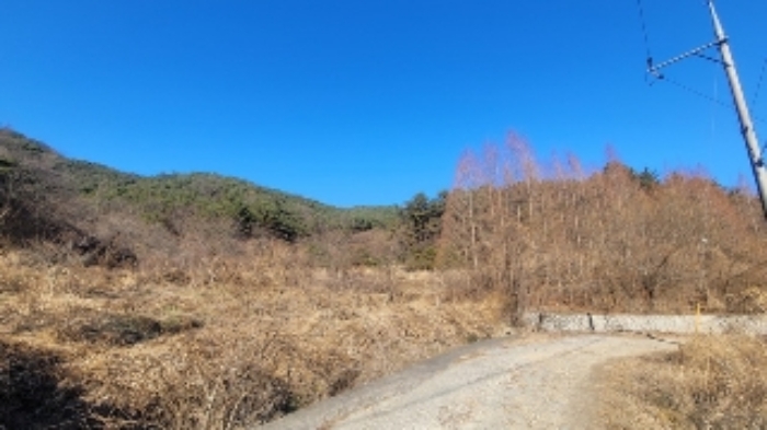 경남 창원시 마산회원구 내서읍 임야 경매 물건 사진 4 · 2024타경107005