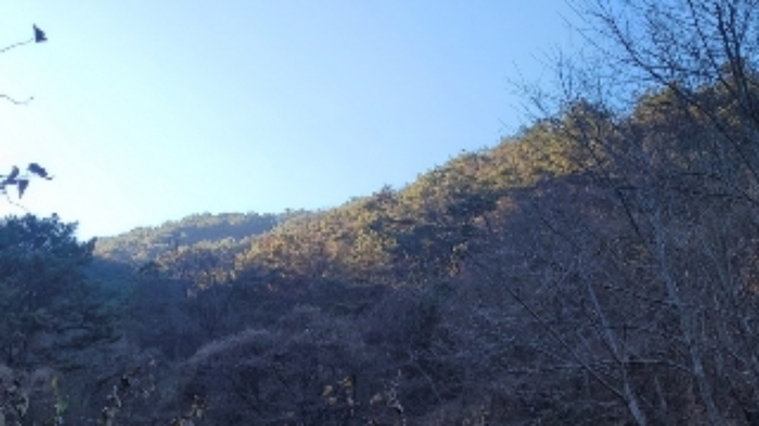 경남 창원시 마산회원구 내서읍 임야 경매 물건 사진 5 · 2024타경107005
