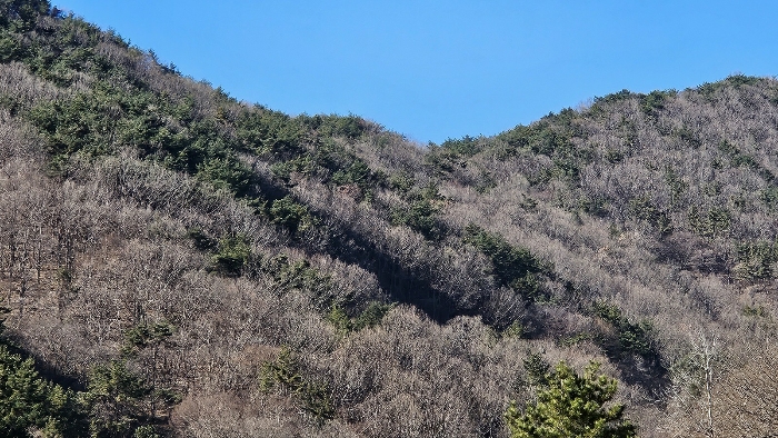 경남 창원시 마산합포구 진동면 임야 경매 물건 사진 4 · 2024타경107364