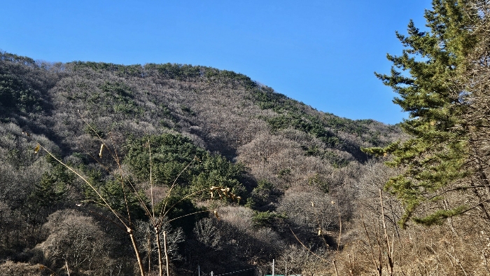 경남 창원시 마산합포구 진동면 임야 경매 물건 사진 5 · 2024타경107364