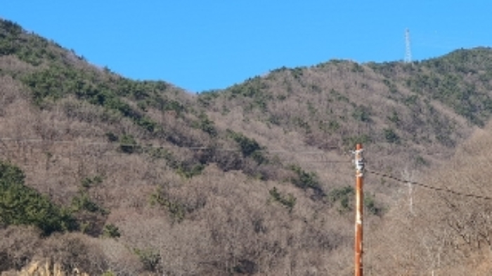 경남 창원시 마산합포구 진동면 임야 경매 물건 사진 2 · 2024타경107364