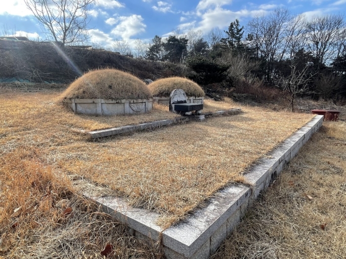 경남 함안군 법수면 전 경매 물건 사진 6 · 2024타경107609