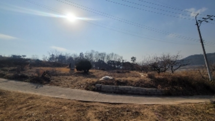 경남 함안군 법수면 전 경매 물건 사진
