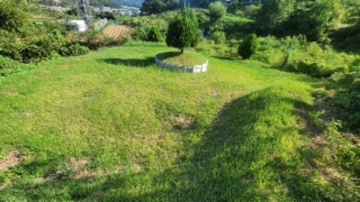 경남 함안군 칠서면 전 경매 물건 사진 2 · 2024타경2407