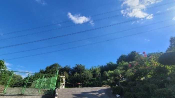 경남 함안군 칠서면 전 경매 물건 사진 3 · 2024타경2407